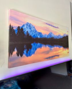 48” x 24” Canvas Wall Art – Like New
