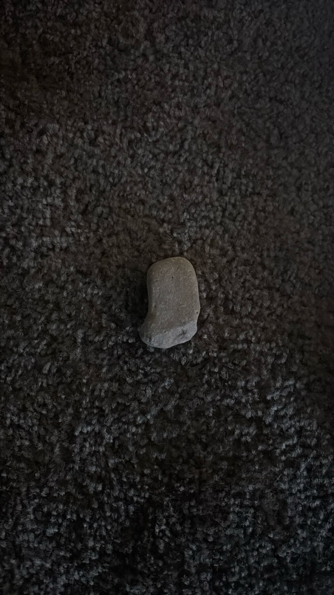 Mc Chicken Nugget Shaped Rock
