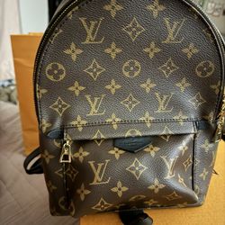 Louis Vuitton Palm Springs Pm 