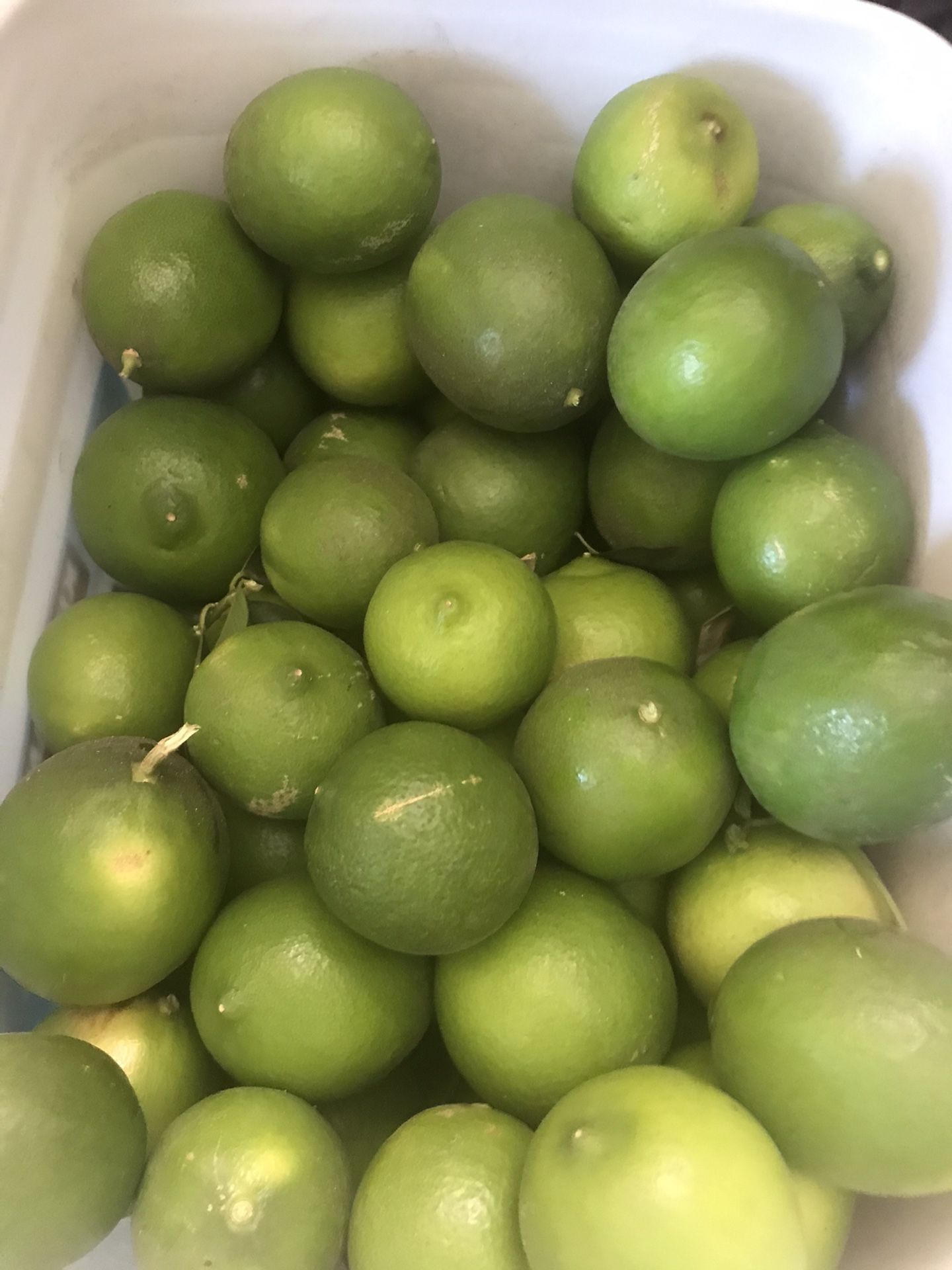 Limes( fresh large organic grown)
