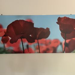Canvas Wall Art 