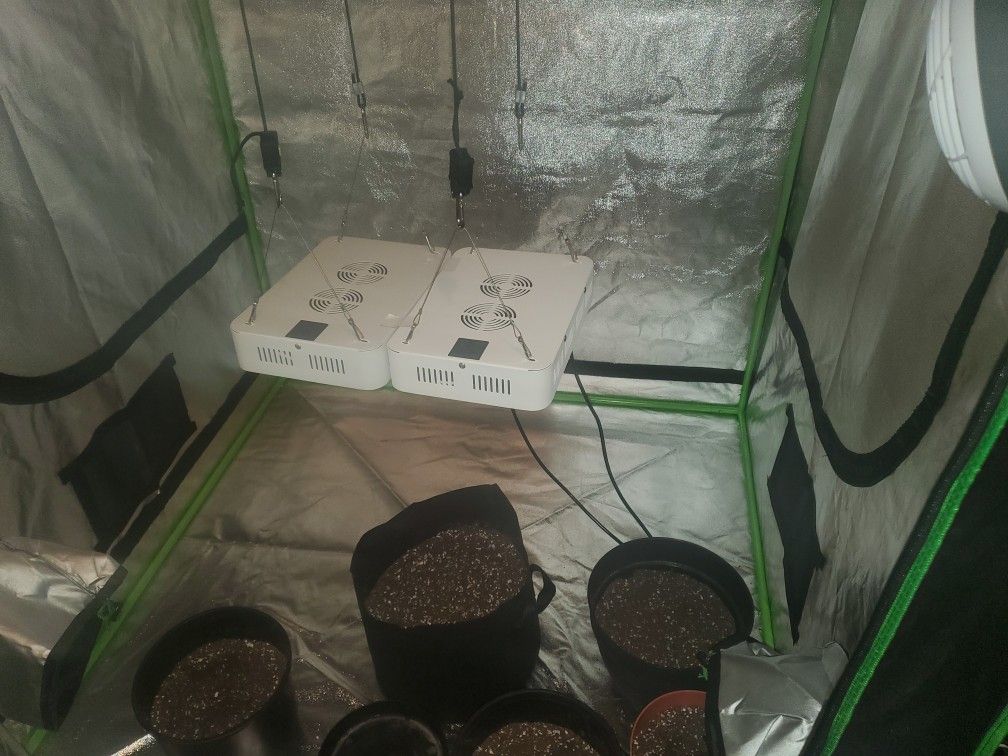 Two Adjustable 600 Watt Grow Lights