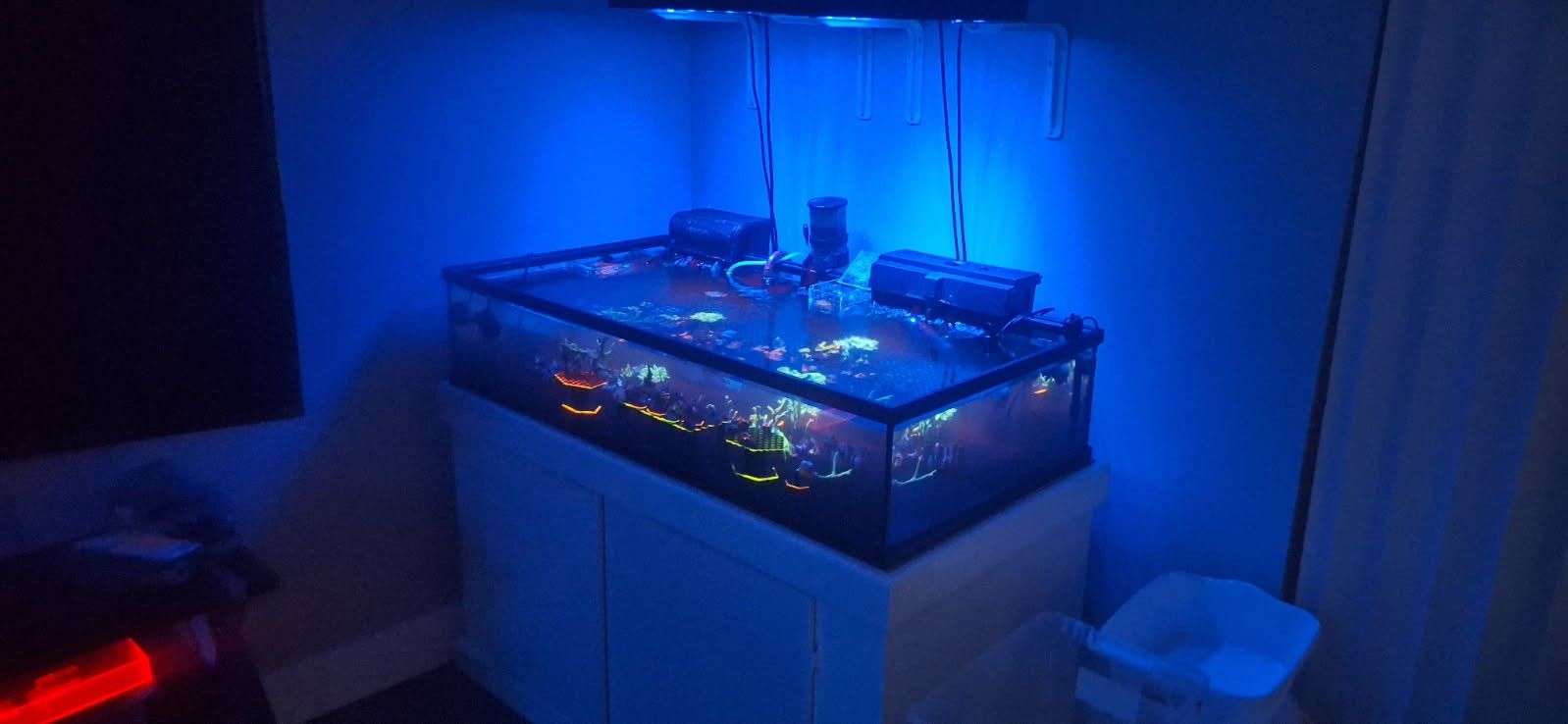 Low Boy Frag Tank Undrilled 