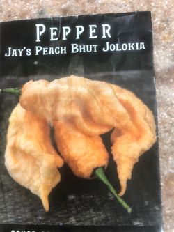 🌶 Chili Pepper Plant🪴 (Jay’s Peach Bhut Jolokia) Heirloom