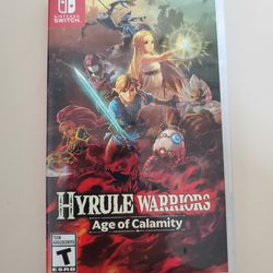 Hyrule Warriors Age Of Calamity