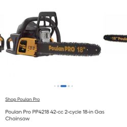 Chain Saw