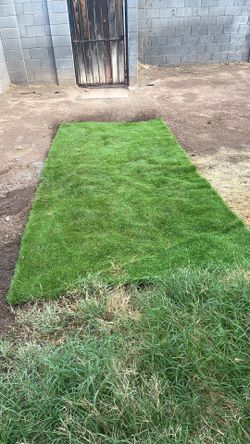 Backyard Patio/ Turf
