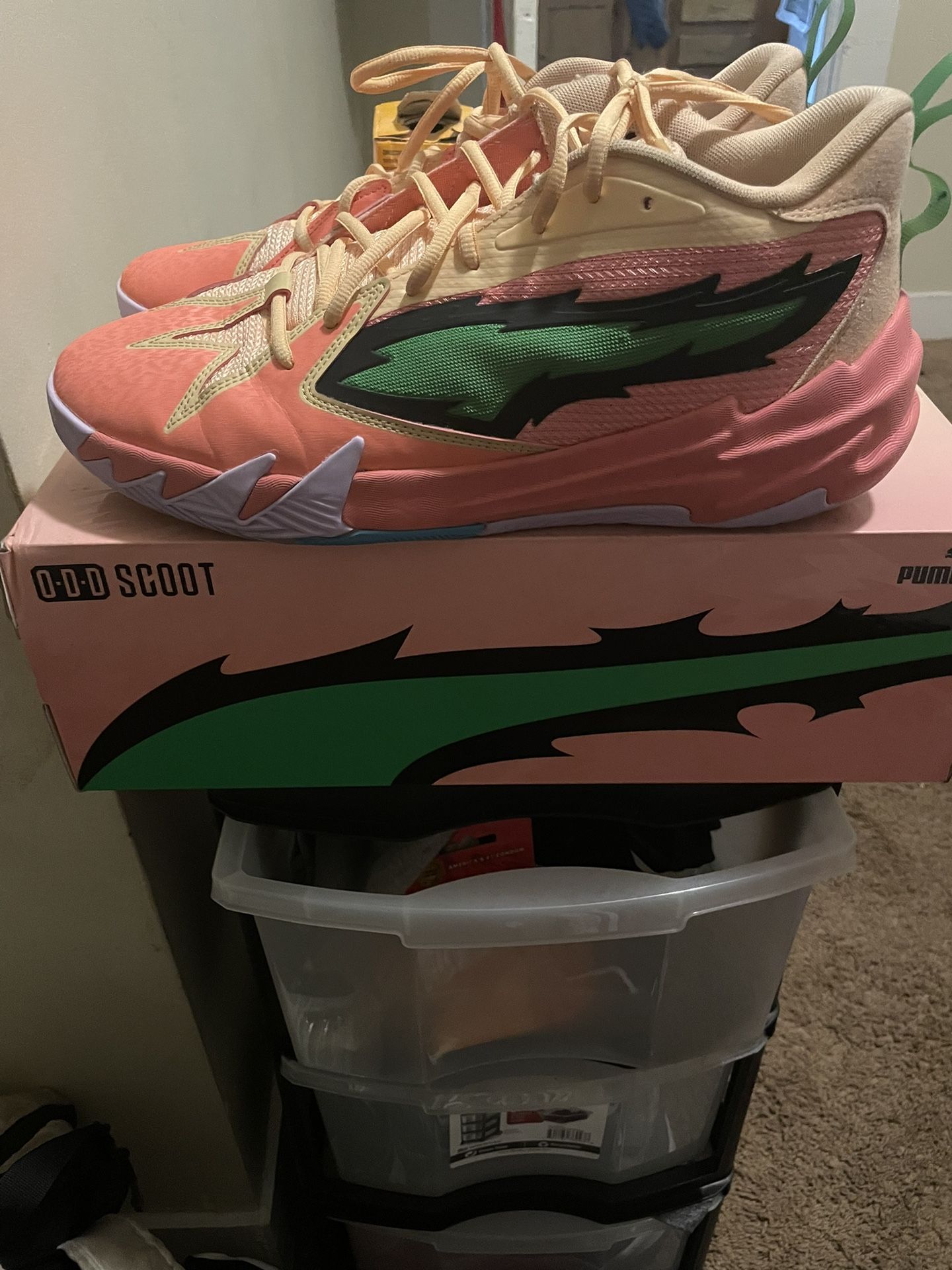 Georgia Peach Puma