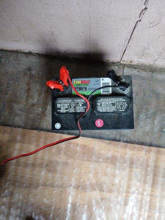 Everstart 12volt Batteries