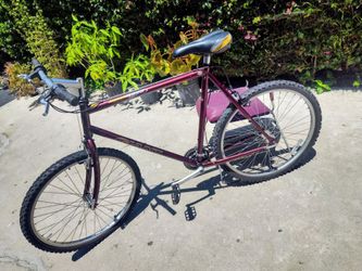 USED GIANT IGUANA 650