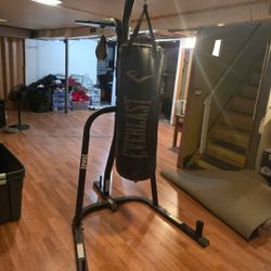 Everlast Boxing Punching Bag