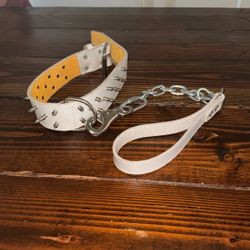 Dog Collar And Short Guide Leash.