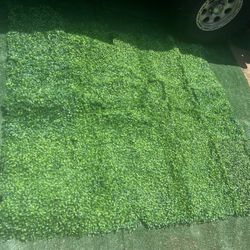 Artificial Grass Backdrop