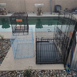 Dog Kennels 