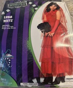 Lydia Beetlejuice costume