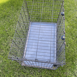 Dog Kennel
