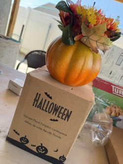 Thanksgiving/ Halloween Pumpkin