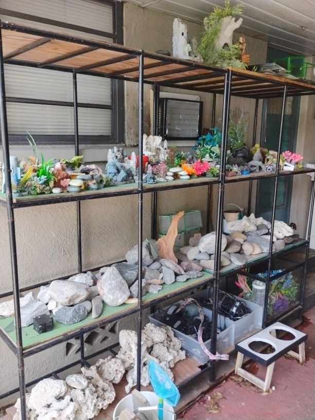 Fish Tank Decoración