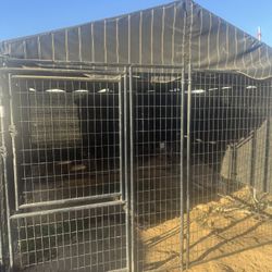 Dogs, Cage