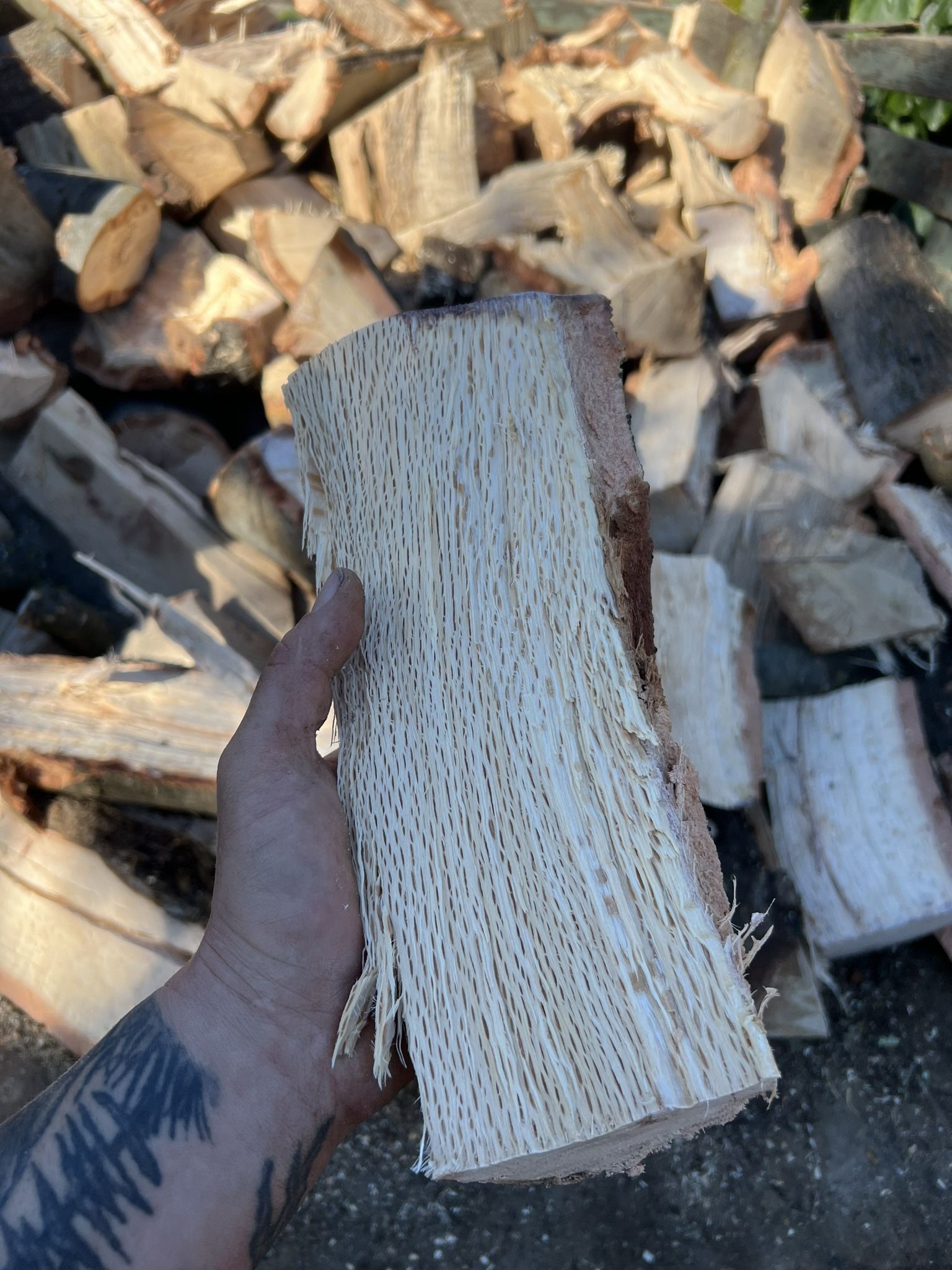 Fire Wood