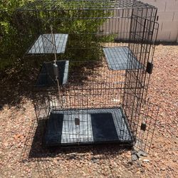 Kennel