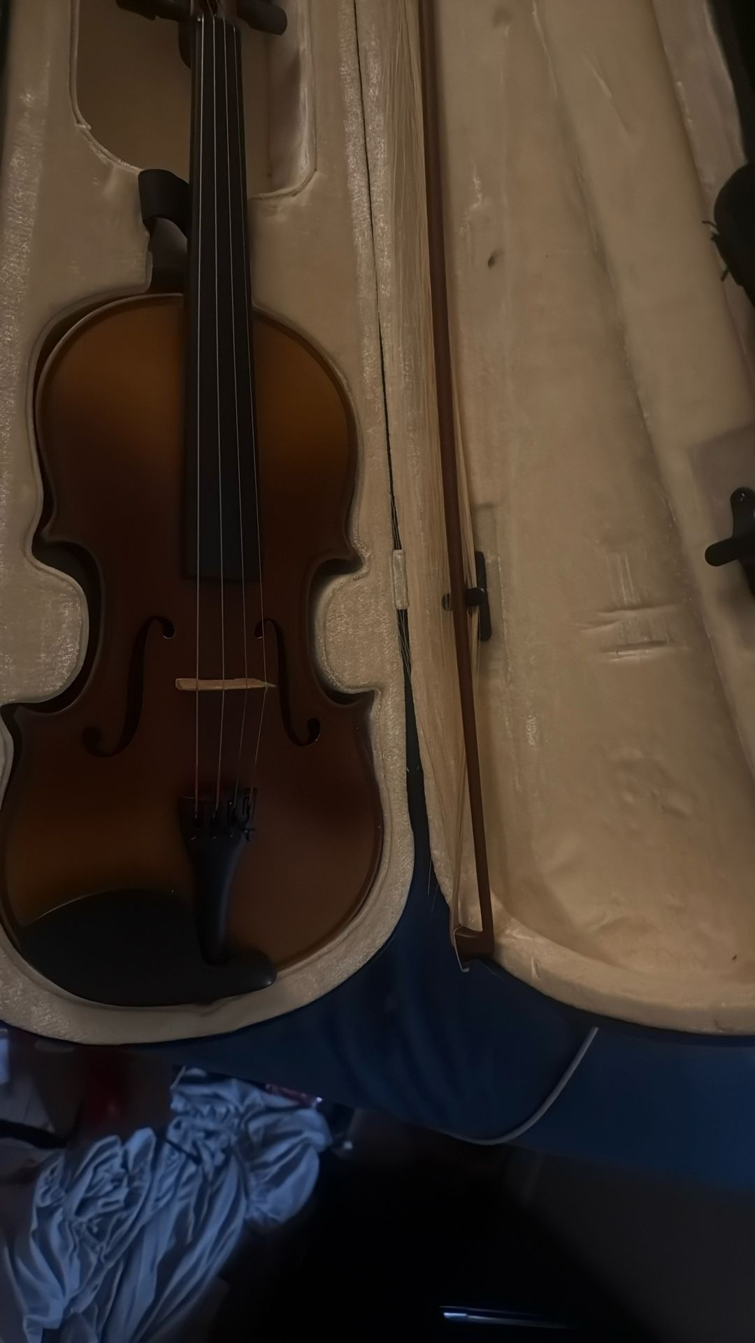 Violin