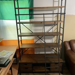 World Market Bookcase w/ Ladder