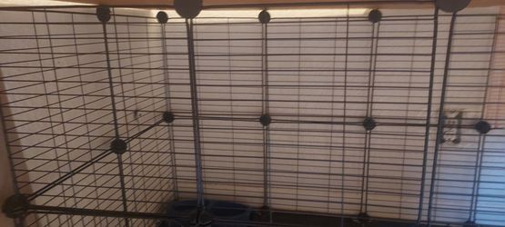 Rabbit cage