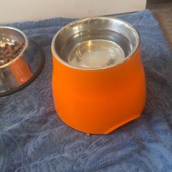 Dog Bowl