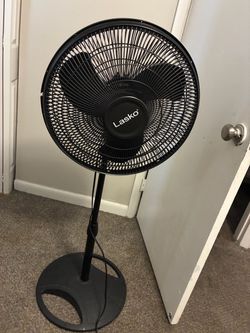 Fan