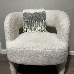 Modern Fuzzy Accent Chair