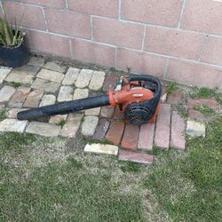 Echo Leaf Blower