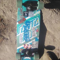 Santa Cruz Skateboard
