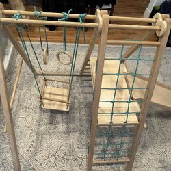 Panda Playground Toddler Jungle Gym