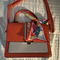 Aldo summer purse