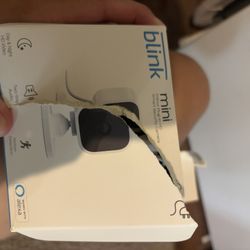 Blink Camera 