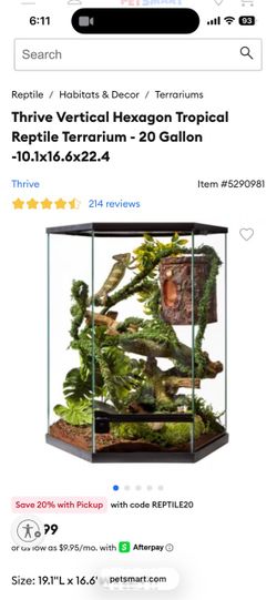 20 gallon hexagon tank!