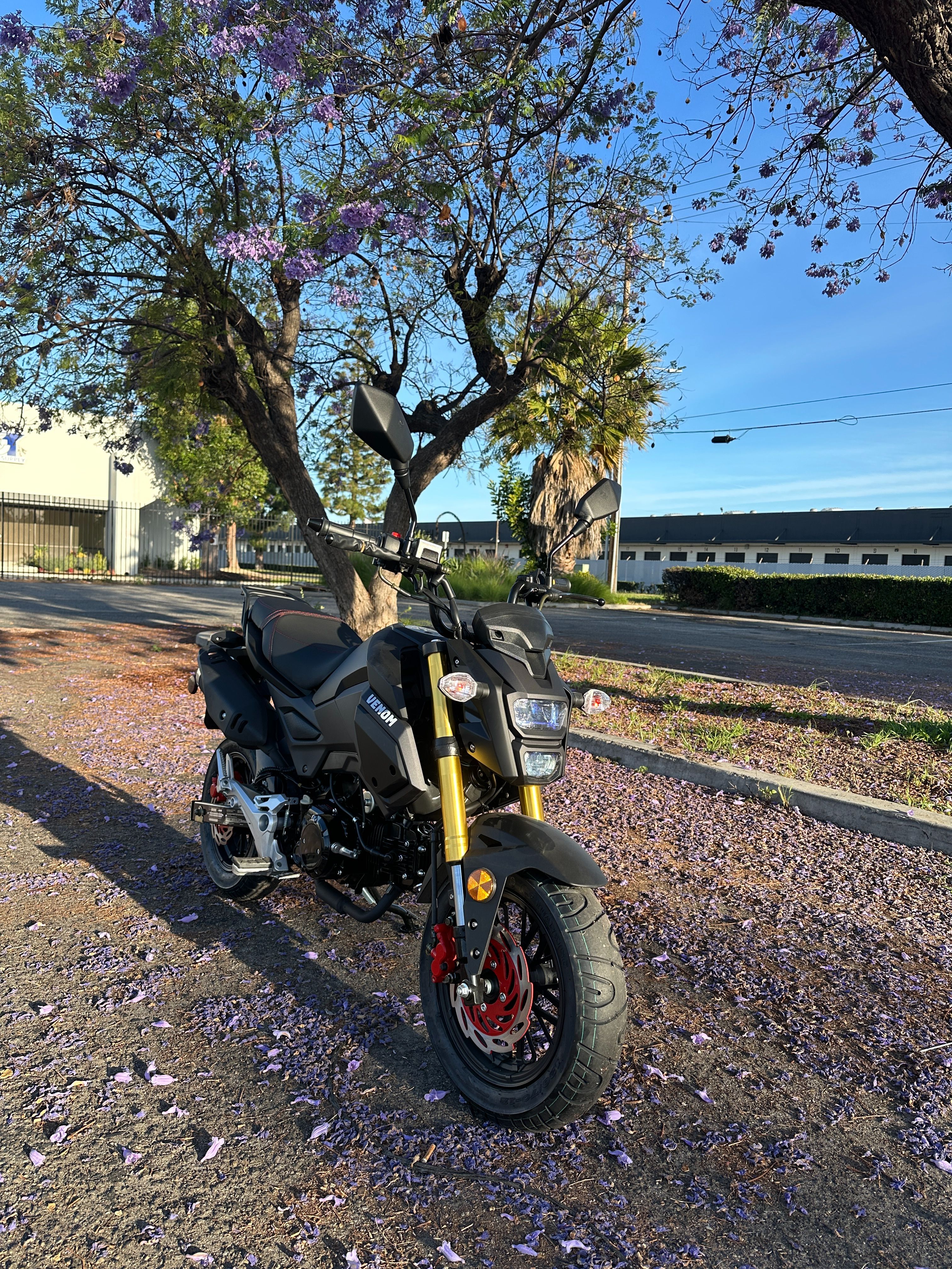 Venom X20 125cc Vader Motorcycle | Honda Grom Clone Street Legal