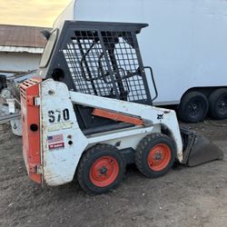Bobcat 