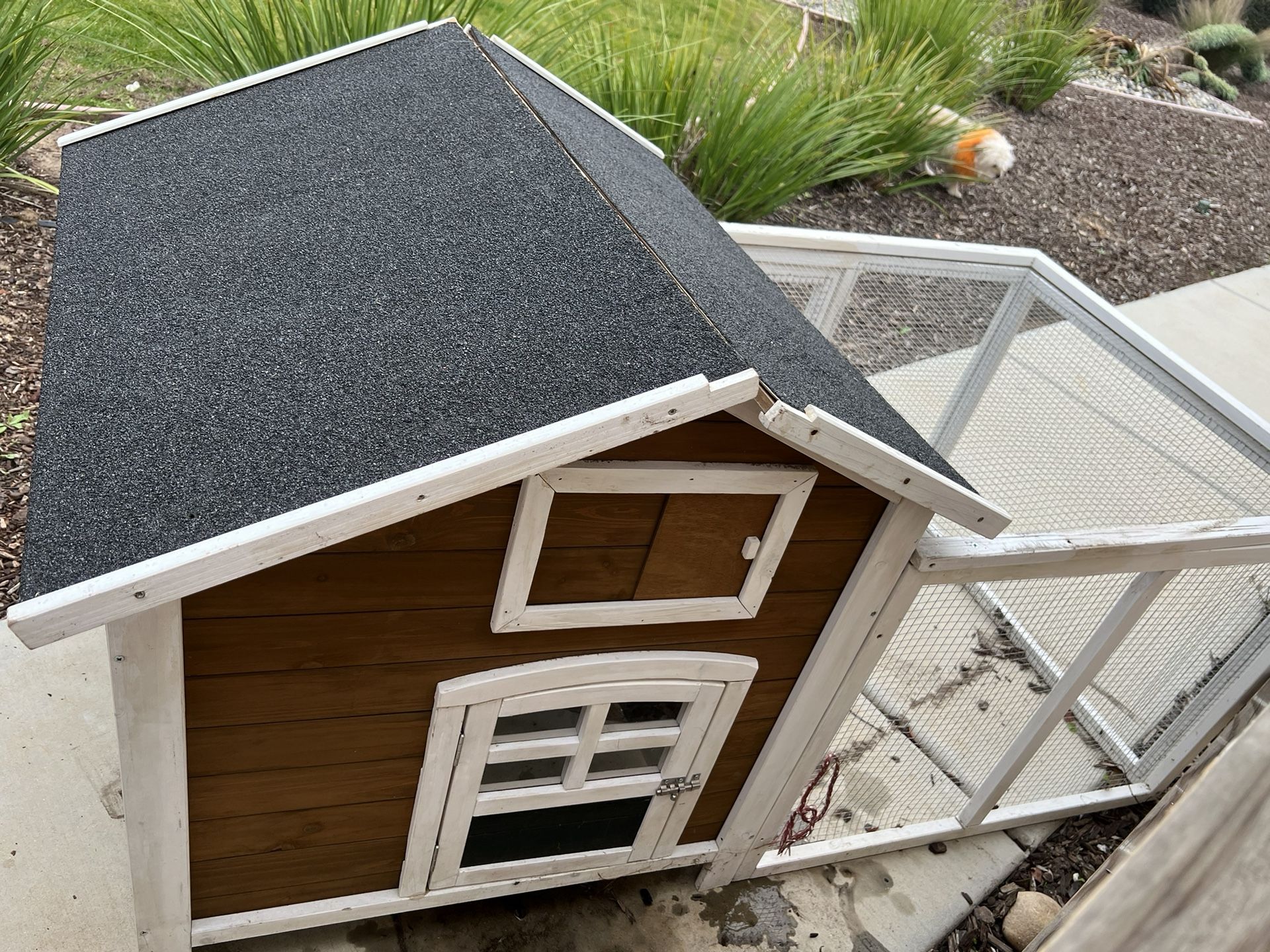 Rabbit House
