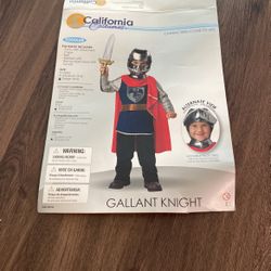 Gallant Knight Size Large 4-6 Boys