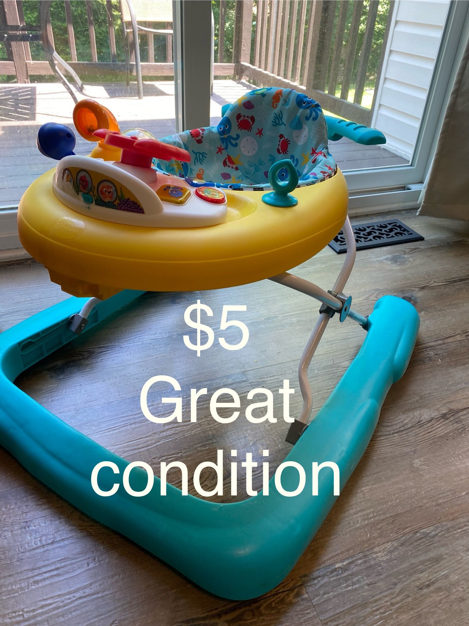 Baby Einstein Walker