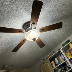 Ceiling Fan