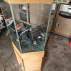 40 gal fish tank aquarium 