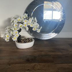 Todo Por $30 Decoracion ( Espejo-cuadro Decorativo- Planta)