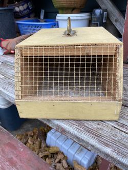 Small Bird Transport