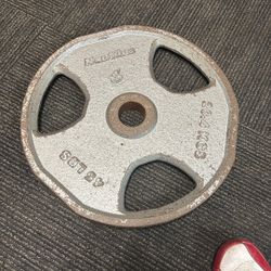 45 Lbs. Barbells