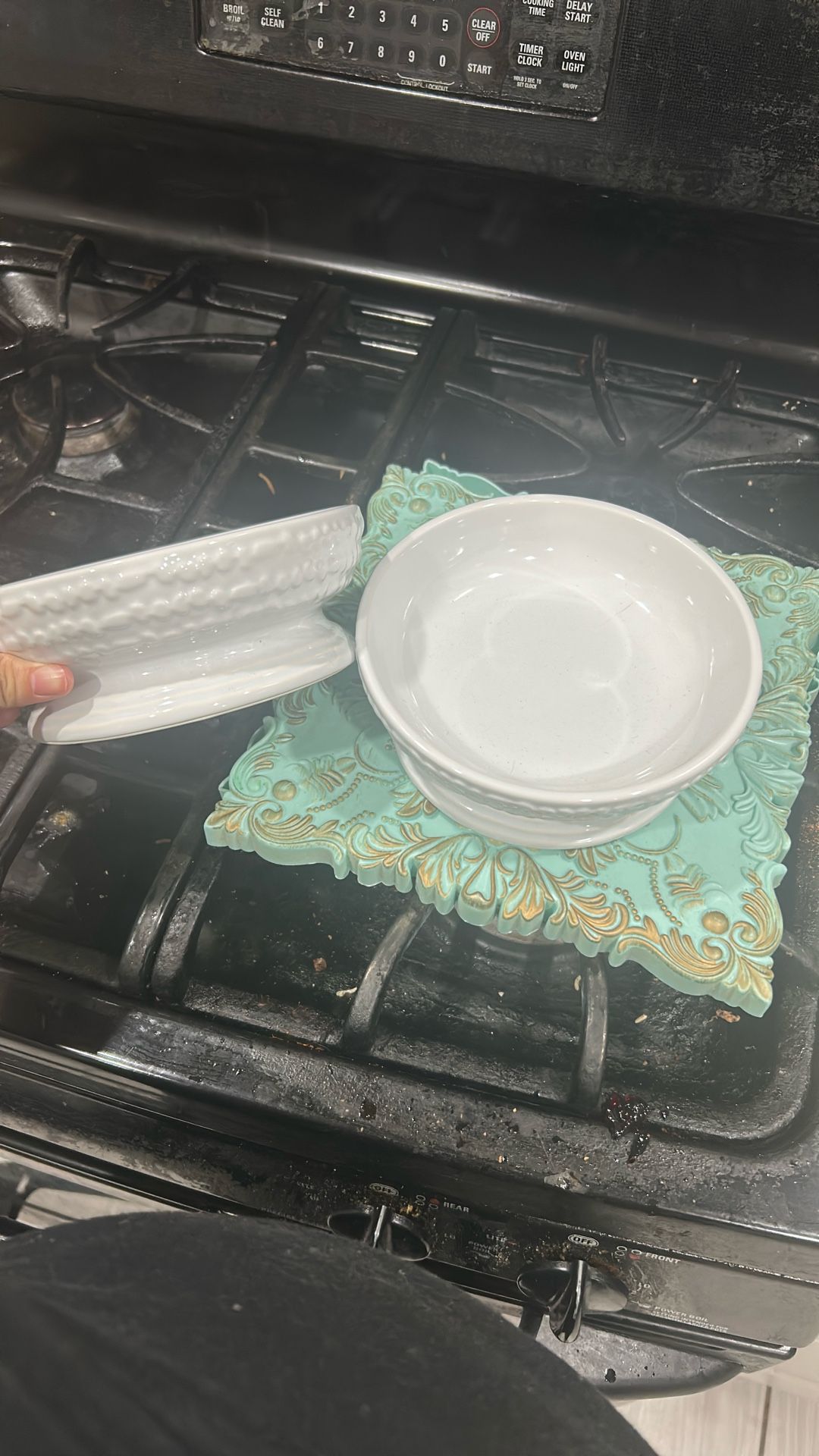 BRAND NEW Free Ceramic Dog Bowls