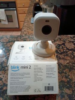 Blink mini 2