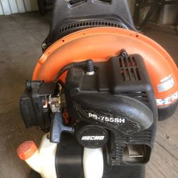 Echo Blower
